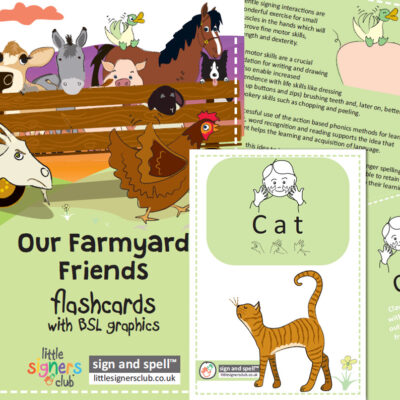 Image shows a bright and cheerful cover of a colouring book about minibeasts; there are colouring pencils and black and white pictures partially coloured in and information about what is inside; early years communication, literacy, language, circle times, plus british sign language minibeast signs and fingerspellings.