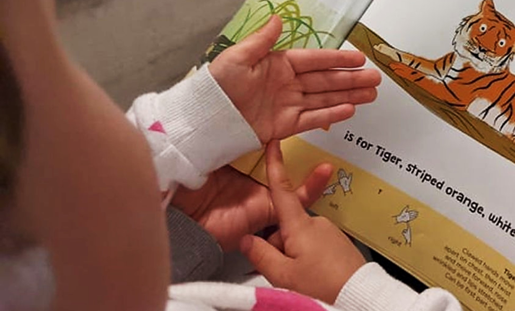 fingerspelling T for tiger sign language for children Image shows a young female child reading an award winning colourful farm themed picture story book with sign language to support the storyline